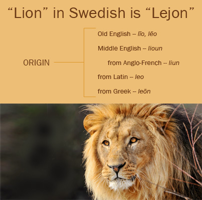 Word Of the Day: Lion